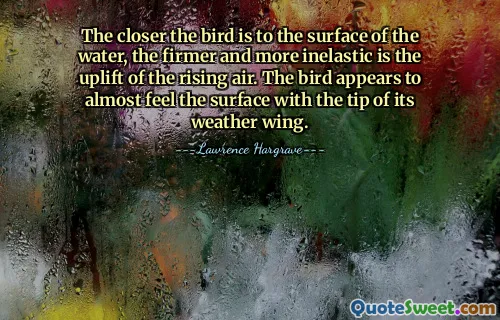 The closer the bird is to the surface of the water, the firmer and more inelastic is the uplift of the rising air. The bird appears to almost feel the surface with the tip of its weather wing.