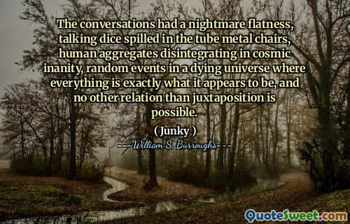 对话具有噩梦平坦，说话的骰子洒在管子金属椅上，人的聚集体在宇宙中瓦解，在垂死的宇宙中随机事件，一切似乎正是它看起来完全是什么，并且除了并置之外没有其他关系。