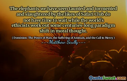 Elefantene vi har sett spottet og plaget og slaktet av slike som Safari Club ikke har tid til å vente mens verdens etikere trener noen århundrer lange paradigmeskifte i moralsk tanke.