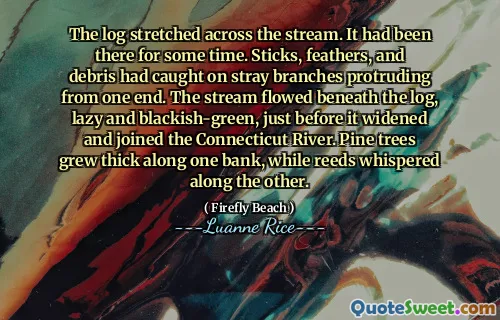 ჟურნალი გადაჭიმული იყო ნაკადის გასწვრივ. ის გარკვეული დროით იყო იქ. ჯოხები, ბუმბულები და ნამსხვრევები დაიჭირეს მაწანწალა ფილიალებზე, რომლებიც ერთი ბოლოდან გამოდიან. ნაკადი მიედინებოდა ჟურნალის ქვეშ, ზარმაცი და შავი-მწვანე, სანამ იგი გააფართოვებდა და შეუერთდა მდინარე კონექტიკუტს. ფიჭვის ხეები სქელი გაიზარდა ერთი ბანკის გასწვრივ, ხოლო რიდები მეორეზე ჩურჩულებდნენ.