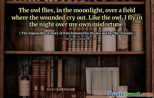 The owl flies, in the moonlight, over a field where the wounded cry out. Like the owl, I fly in the night over my own misfortune.