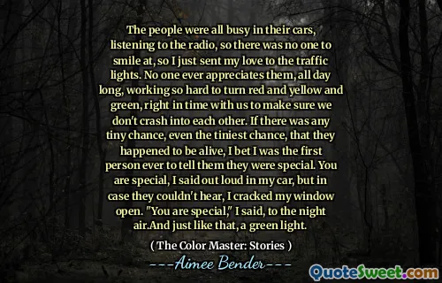 The people were all busy in their cars, listening to the radio, so there was no one to smile at, so I just sent my love to the traffic lights. No one ever appreciates them, all day long, working so hard to turn red and yellow and green, right in time with us to make sure we don't crash into each other. If there was any tiny chance, even the tiniest chance, that they happened to be alive, I bet I was the first person ever to tell them they were special. You are special, I said out loud in my car, but in case they couldn't hear, I cracked my window open. "You are special," I said, to the night air.And just like that, a green light.