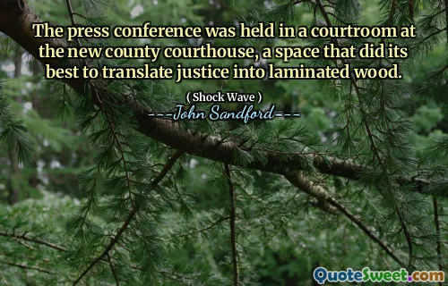 新闻发布会在新县法院的法庭举行，这个空间尽最大努力将正义转化为层压木。