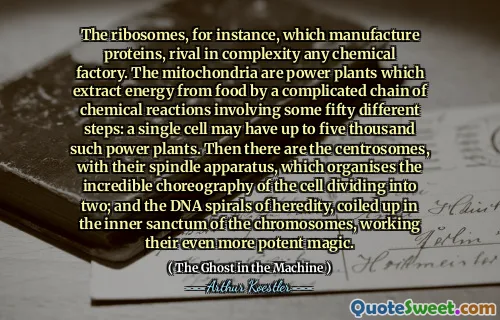 The ribosomes, for instance, which manufacture proteins, rival in complexity any chemical factory. The mitochondria are power plants which extract energy from food by a complicated chain of chemical reactions involving some fifty different steps: a single cell may have up to five thousand such power plants. Then there are the centrosomes, with their spindle apparatus, which organises the incredible choreography of the cell dividing into two; and the DNA spirals of heredity, coiled up in the inner sanctum of the chromosomes, working their even more potent magic.