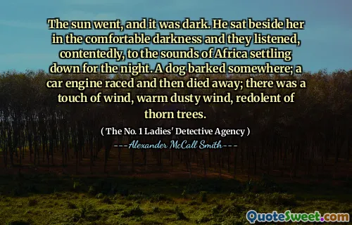 太阳去了，天黑了。他坐在她舒适的黑暗中坐在她旁边，他们满意地听着非洲的声音在夜晚安顿下来。一只狗在某个地方吠叫；汽车发动机竞争，然后消失了。风，尘土飞扬的风，刺刺的树木。