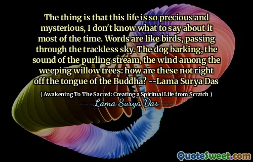 The thing is that this life is so precious and mysterious, I don't know what to say about it most of the time. Words are like birds, passing through the trackless sky. The dog barking, the sound of the purling stream, the wind among the weeping willow trees: how are these not right off the tongue of the Buddha? --Lama Surya Das