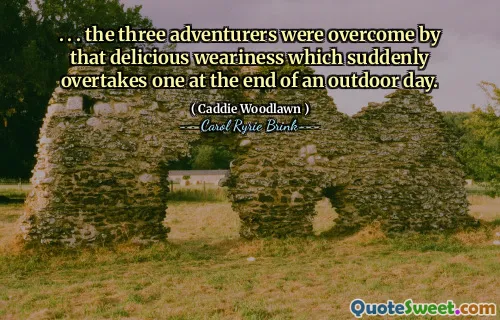 。 。 。一天的户外活动结束后，这三位冒险家突然感到一阵疲惫。