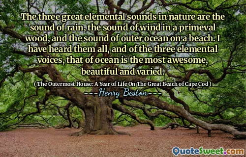 The three great elemental sounds in nature are the sound of rain, the sound of wind in a primeval wood, and the sound of outer ocean on a beach. I have heard them all, and of the three elemental voices, that of ocean is the most awesome, beautiful and varied.