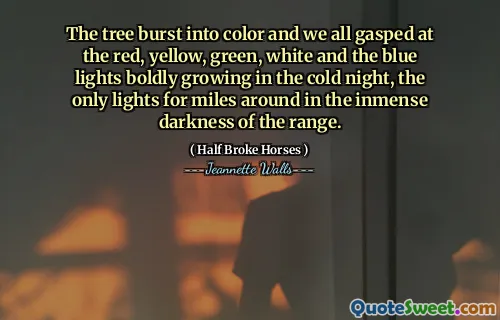 The tree burst into color and we all gasped at the red, yellow, green, white and the blue lights boldly growing in the cold night, the only lights for miles around in the inmense darkness of the range.