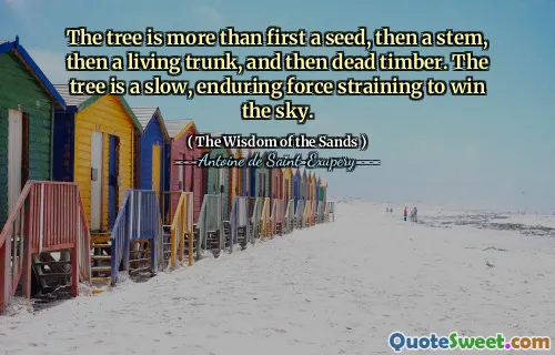 The tree is more than first a seed, then a stem, then a living trunk, and then dead timber. The tree is a slow, enduring force straining to win the sky.