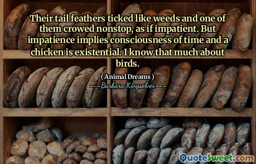 Their tail feathers ticked like weeds and one of them crowed nonstop, as if impatient. But impatience implies consciousness of time and a chicken is existential. I know that much about birds.