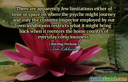 من الواضح أن هناك قيودًا قليلة إما من الوقت أو المكان الذي يمكن أن يتجول فيه النفس ، ولا يقيد المفتش العادي الذي يستخدمه مثبطاتنا الخاصة ما قد يعيده عندما يعيد إدخال بلد الوعي اليومي.