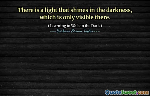There is a light that shines in the darkness, which is only visible there.