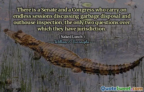 有一个参议院和国会举行无休止的会议，讨论垃圾处理和外屋检查，这是他们拥有管辖权的仅有的两个问题。