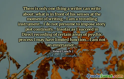 作家只能写一件事：写作时他的感官面前是什么……我是录音乐器...我不认为我可以强加故事情节连续性……因为我成功地直接录制了某些心理过程，所以我可能没有有限的功能...我不是一个娱乐者...