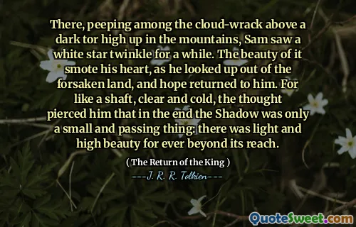 There, peeping among the cloud-wrack above a dark tor high up in the mountains, Sam saw a white star twinkle for a while. The beauty of it smote his heart, as he looked up out of the forsaken land, and hope returned to him. For like a shaft, clear and cold, the thought pierced him that in the end the Shadow was only a small and passing thing: there was light and high beauty for ever beyond its reach.