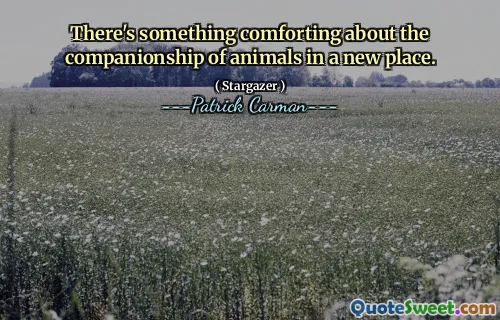 There's something comforting about the companionship of animals in a new place.