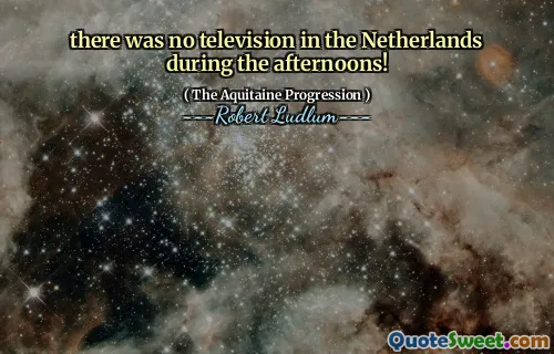 下午在荷兰没有电视！