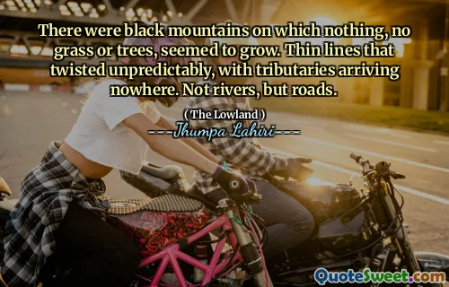 There were black mountains on which nothing, no grass or trees, seemed to grow. Thin lines that twisted unpredictably, with tributaries arriving nowhere. Not rivers, but roads.