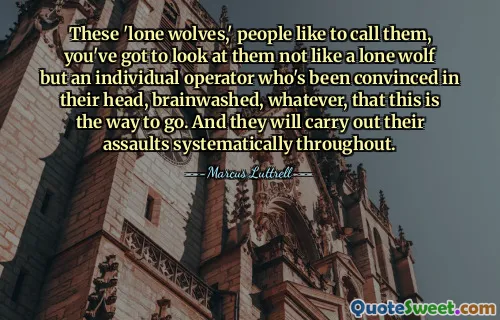 These 'lone wolves,' people like to call them, you've got to look at them not like a lone wolf but an individual operator who's been convinced in their head, brainwashed, whatever, that this is the way to go. And they will carry out their assaults systematically throughout.