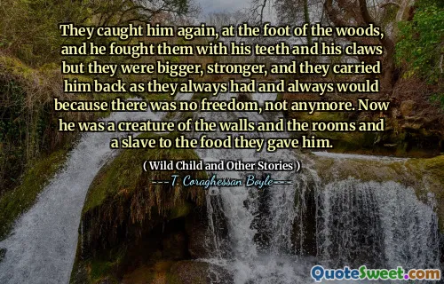 Họ bắt gặp anh ta một lần nữa, dưới chân rừng, và anh ta đã chiến đấu với họ bằng răng và móng vuốt của anh ta nhưng họ lớn hơn, mạnh hơn, và họ mang anh ta trở lại như họ luôn luôn có và luôn luôn có tự do, không còn nữa. Bây giờ anh ta là một sinh vật của các bức tường và các phòng và một nô lệ cho thức ăn họ cho anh ta.