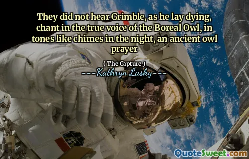 They did not hear Grimble, as he lay dying, chant in the true voice of the Boreal Owl, in tones like chimes in the night, an ancient owl prayer
