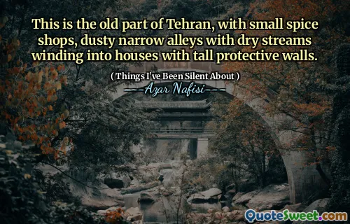 这是德黑兰的旧部分，设有小香料店，尘土飞扬的小巷，干溪流散落在带有高高保护墙的房屋中。