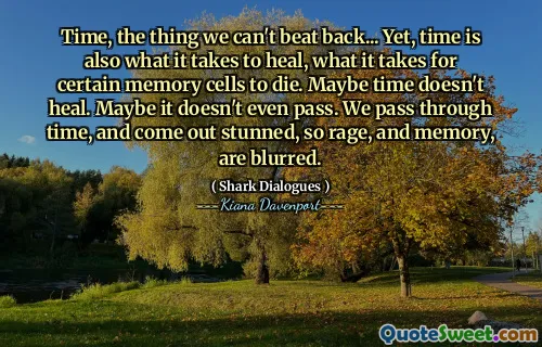 Time, the thing we can't beat back... Yet, time is also what it takes to heal, what it takes for certain memory cells to die. Maybe time doesn't heal. Maybe it doesn't even pass. We pass through time, and come out stunned, so rage, and memory, are blurred.