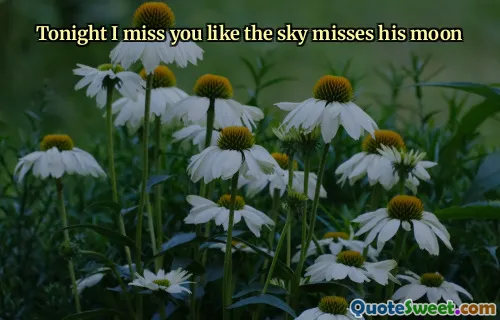 Tonight I miss you like the sky misses his moon