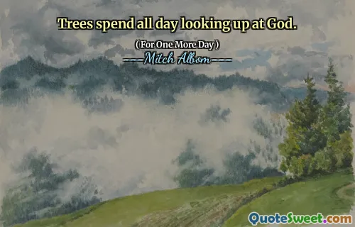 树木整天抬头看着上帝。