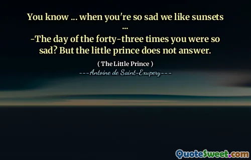You know ... when you're so sad we like sunsets ...
-The day of the forty-three times you were so sad? But the little prince does not answer.