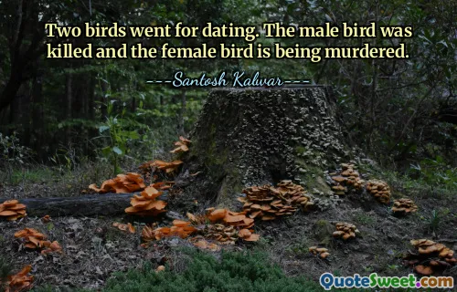 Two birds went for dating. The male bird was killed and the female bird is being murdered.