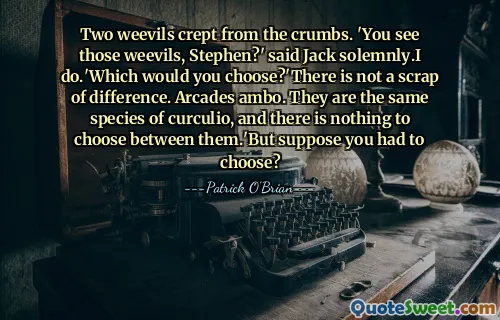 Two weevils crept from the crumbs. 'You see those weevils, Stephen?' said Jack solemnly.I do.'Which would you choose?'There is not a scrap of difference. Arcades ambo. They are the same species of curculio, and there is nothing to choose between them.'But suppose you had to choose?