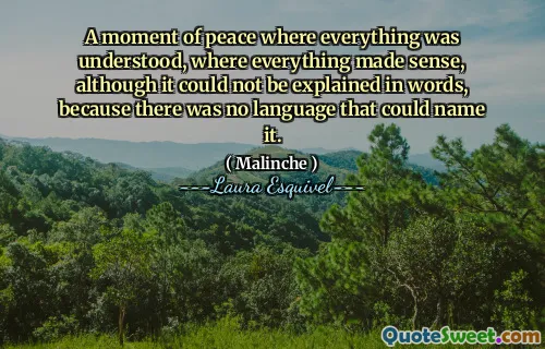 لحظة سلام حيث تم فهم كل شيء ، حيث كان كل شيء منطقيًا ، على الرغم من أنه لا يمكن تفسيره بالكلمات ، لأنه لم تكن هناك لغة يمكنها تسميتها.