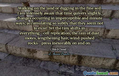 Walking on the land or digging in the fine soil I am intensely aware that time quivers slightly, changes occurring in imperceptible and minute ways, accumulating so subtly that they seem not to exist. Yet the tiny shifts in everything--cell replication, the rain of dust motes, lengthening hair, wind-pushed rocks--press inexorably on and on.