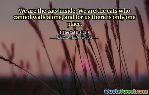 我们是里面的猫。我们是不能独自行走的猫，对我们来说，只有一个地方。