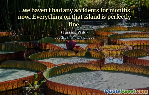 ...我们已经好几个月没有任何事故了...那个岛上的一切都很好。