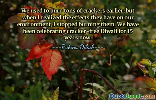 Vi brukade bränna massor av kex tidigare, men när jag insåg vilka effekter de har på vår miljö slutade jag att bränna dem. Vi har firat kexfria Diwali i 15 år nu.