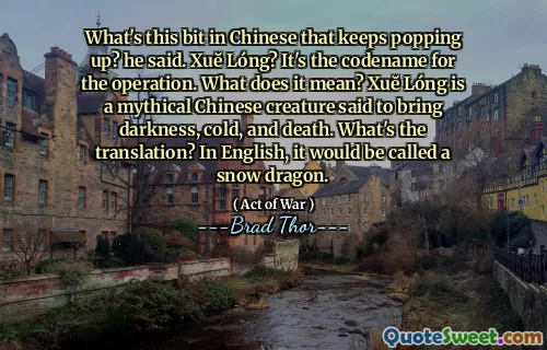 What's this bit in Chinese that keeps popping up? he said. Xuĕ Lóng? It's the codename for the operation. What does it mean? Xuĕ Lóng is a mythical Chinese creature said to bring darkness, cold, and death. What's the translation? In English, it would be called a snow dragon.