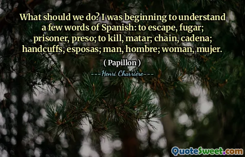 我们应该做什么？我开始听懂几个西班牙语单词：逃跑，fugar；囚犯，preso；杀死，马塔尔；链，卡德纳；手铐、手铐；男人，男人；女人，女人。