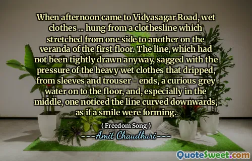 When afternoon came to Vidyasagar Road, wet clothes ... hung from a clothesline which stretched from one side to another on the veranda of the first floor. The line, which had not been tightly drawn anyway, sagged with the pressure of the heavy wet clothes that dripped, from sleeves and trouser - ends, a curious grey water on to the floor, and, especially in the middle, one noticed the line curved downwards, as if a smile were forming.