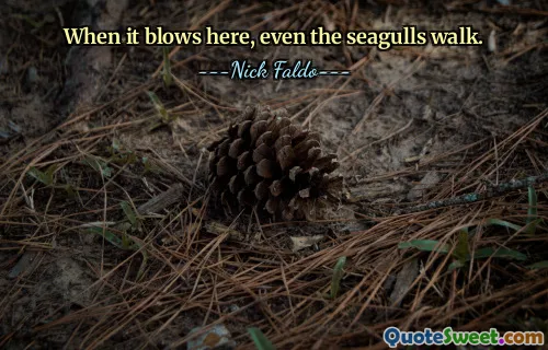 When it blows here, even the seagulls walk.