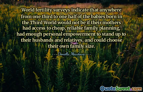 World fertility surveys indicate that anywhere from one third to one half of the babies born in the Third World would not be if their mothers had access to cheap, reliable family planning, had enough personal empowerment to stand up to their husbands and relatives, and could choose their own family size.