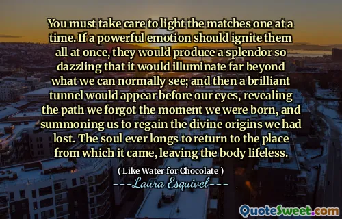 You must take care to light the matches one at a time. If a powerful emotion should ignite them all at once, they would produce a splendor so dazzling that it would illuminate far beyond what we can normally see; and then a brilliant tunnel would appear before our eyes, revealing the path we forgot the moment we were born, and summoning us to regain the divine origins we had lost. The soul ever longs to return to the place from which it came, leaving the body lifeless.