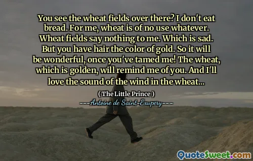 You see the wheat fields over there? I don't eat bread. For me, wheat is of no use whatever. Wheat fields say nothing to me. Which is sad. But you have hair the color of gold. So it will be wonderful, once you've tamed me! The wheat, which is golden, will remind me of you. And I'll love the sound of the wind in the wheat...