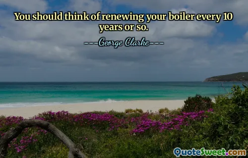 You should think of renewing your boiler every 10 years or so.
