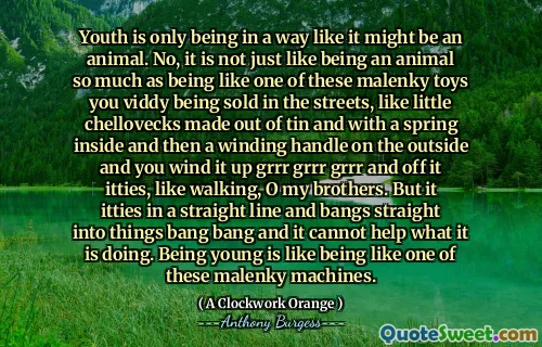 Youth is only being in a way like it might be an animal. No, it is not just like being an animal so much as being like one of these malenky toys you viddy being sold in the streets, like little chellovecks made out of tin and with a spring inside and then a winding handle on the outside and you wind it up grrr grrr grrr and off it itties, like walking, O my brothers. But it itties in a straight line and bangs straight into things bang bang and it cannot help what it is doing. Being young is like being like one of these malenky machines.